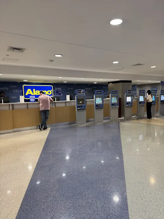Alamo Rent A Car Picture 2
