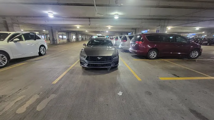 Alamo Rent A Car Picture 6