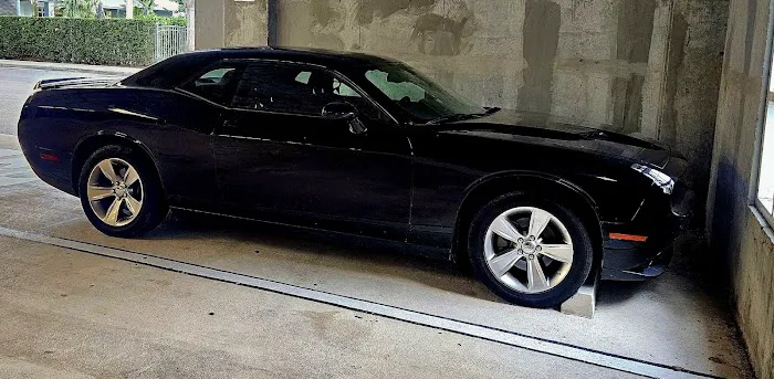 Alamo Rent A Car Picture 5