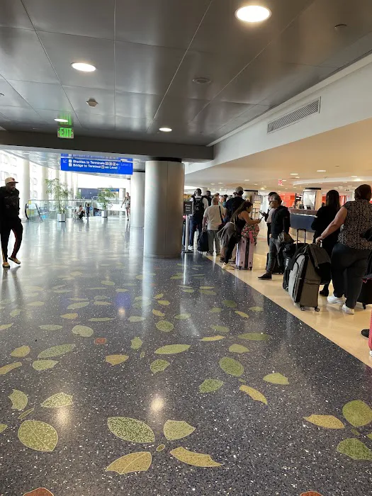 Dollar Car Rental - Fort Lauderdale International Airport Picture 9