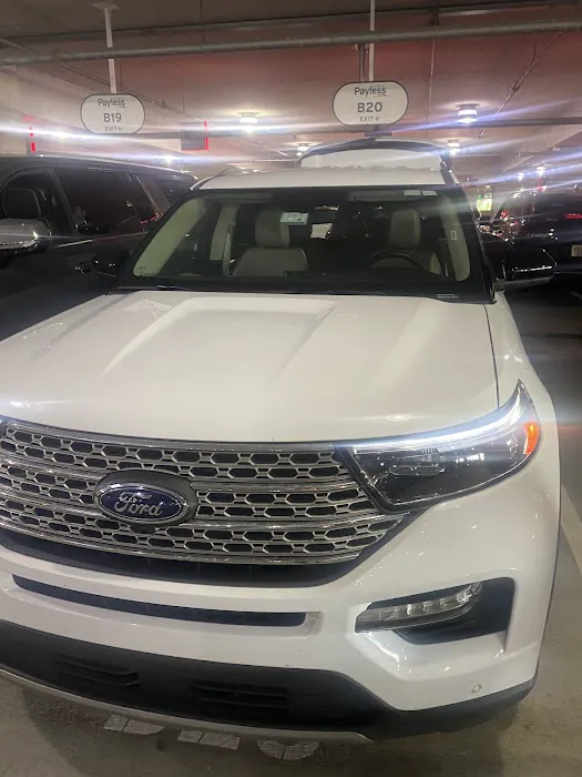 Payless Car Rental Picture 1