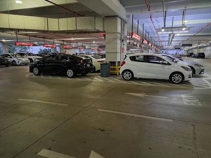 Avis Car Rental Picture 4