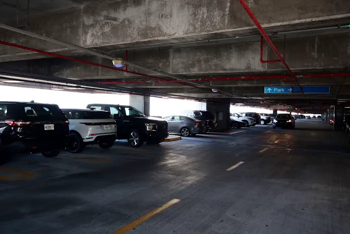 Budget Car Rental Picture 4