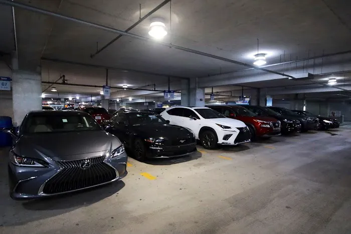 Budget Car Rental Picture 2