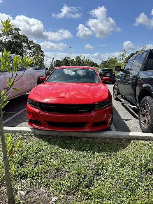 Budget Car Rental Picture 10