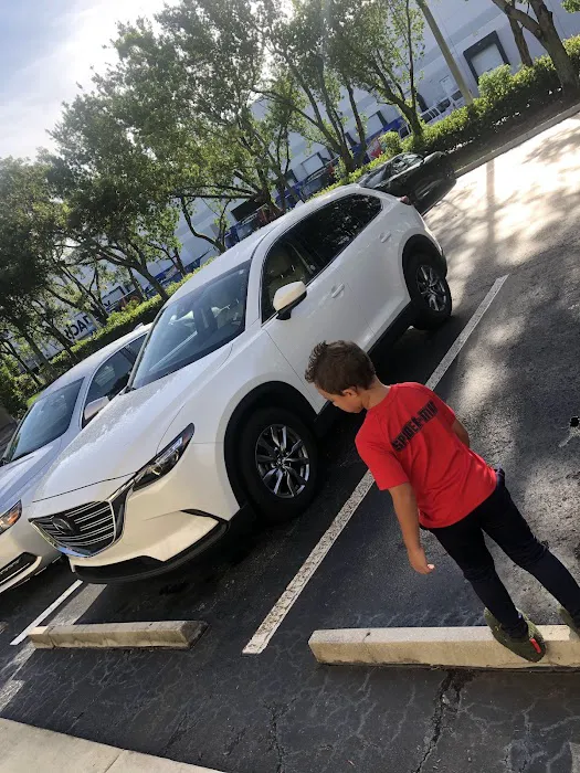 Budget Car Rental Picture 3