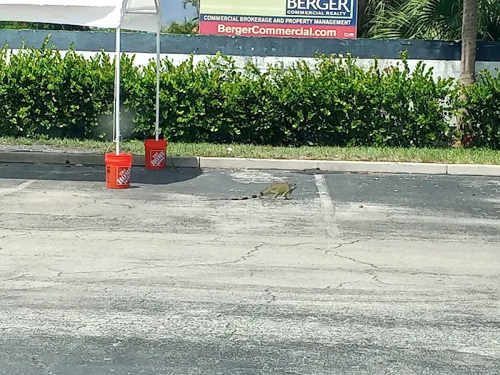 Hertz Car Rental - Fort Lauderdale - E Sunrise Boulevard Picture 7