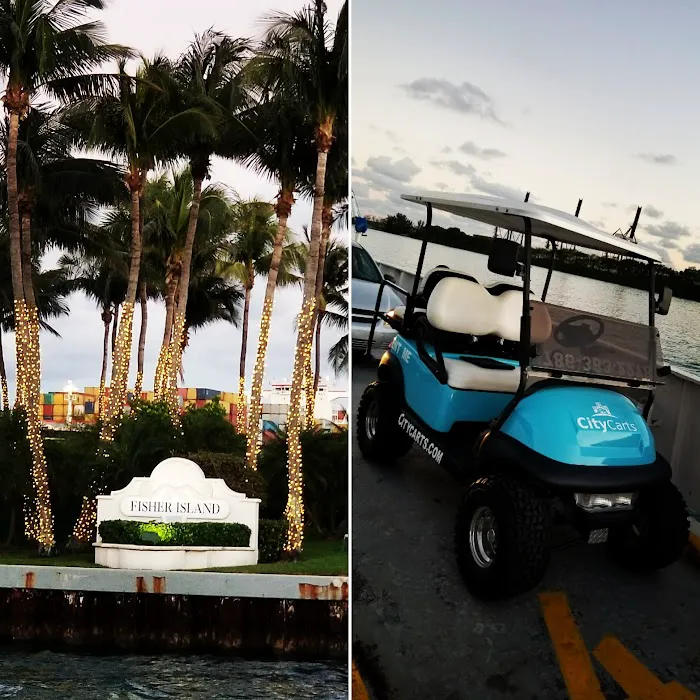 citycarts Picture 3