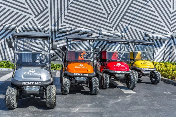 citycarts Picture 5