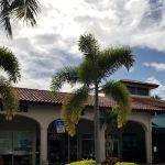 Avis Car Rental