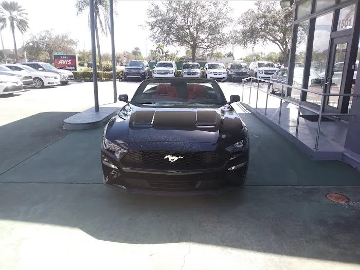 Budget Car Rental Picture 3