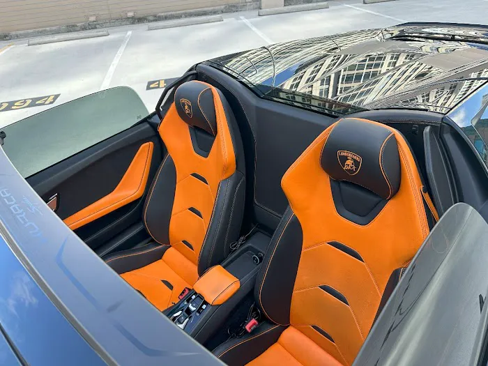 Turbo Exotics Picture 2