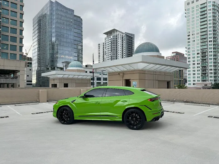 Turbo Exotics Picture 1