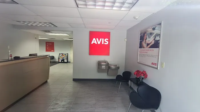 Avis Car Rental Picture 1