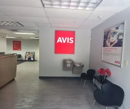 Avis Car Rental