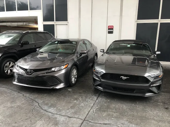 Avis Car Rental Picture 7