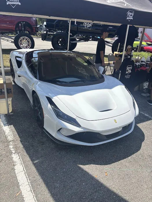 Apex Exotics 561 Picture 7
