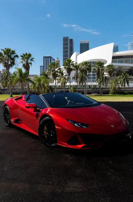 Apex Exotics 561 Picture 6