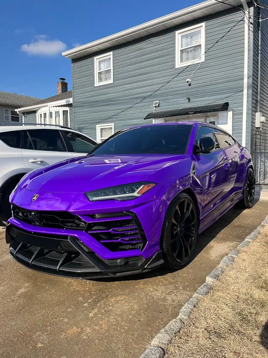 Apex Exotics 561 Picture 3