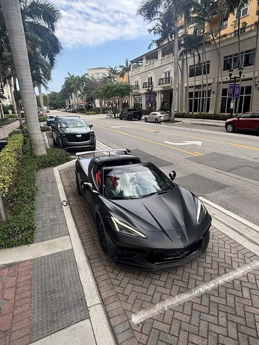 Apex Exotics 561 Picture 2