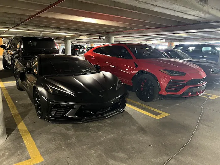 Apex Exotics 561 Picture 9