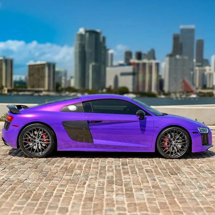 Apex Exotics 561 Picture 10
