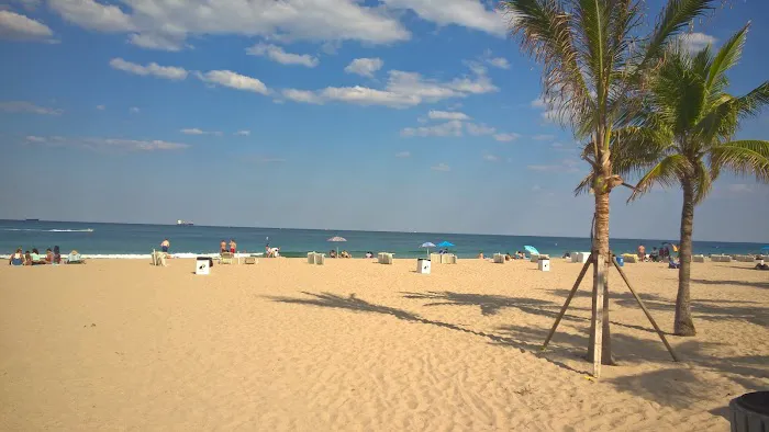 Ocean Drive Jeeps - Jeep Rentals Fort Lauderdale Picture 2