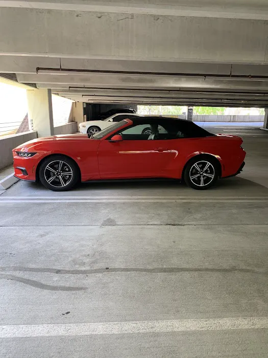 Enterprise Rent-A-Car Picture 6