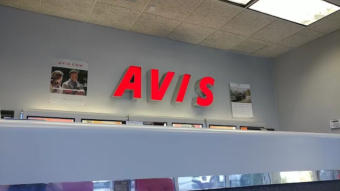 Avis Car Rental Picture 4
