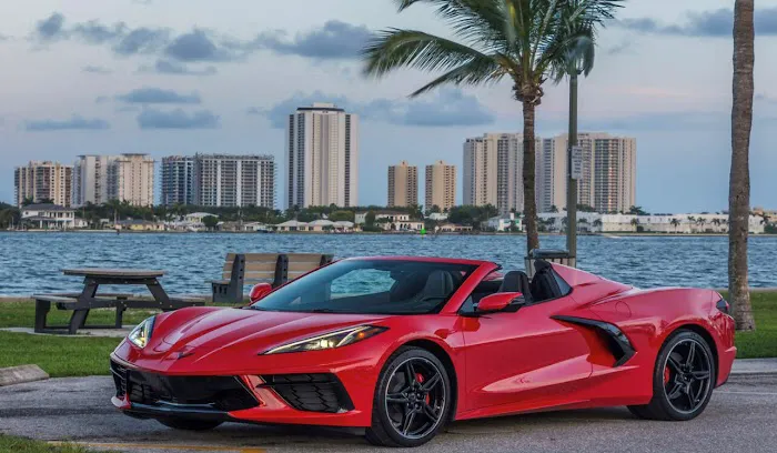 5 Stars Pro | Luxury Rentals Picture 1