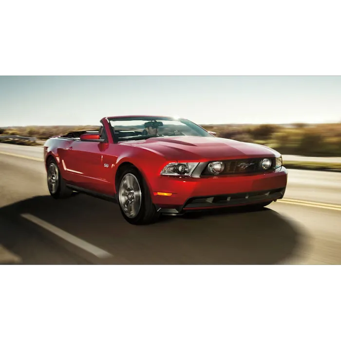 Alfa Car Rental Picture 8