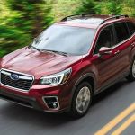Avis Car Rental