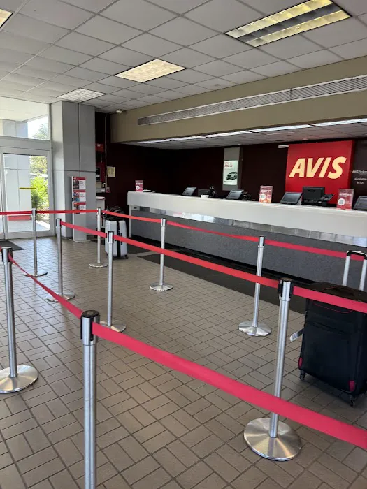 Avis Car Rental Picture 1