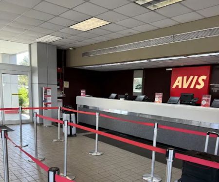 Avis Car Rental