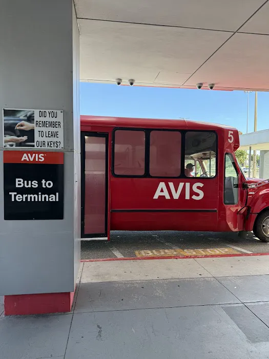 Avis Car Rental Picture 7