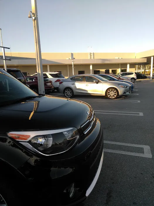 Alamo Rent A Car Picture 3