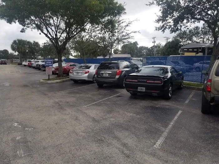 Payless Car Rental Picture 7