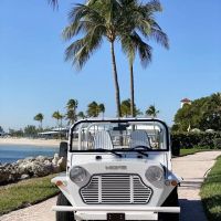 WeMoke - Moke Rental ico