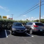 Avis Car Rental