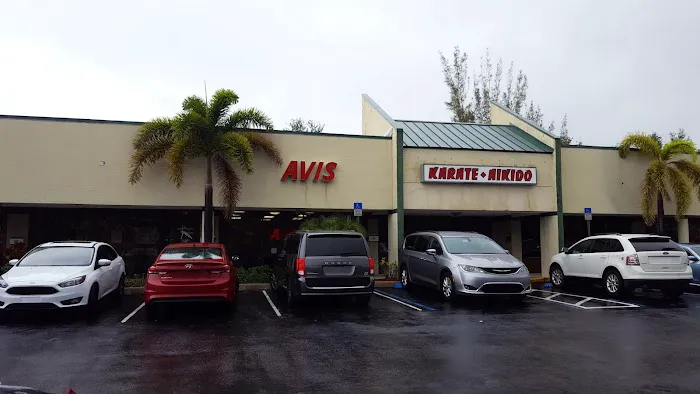 Avis Car Rental Picture 1