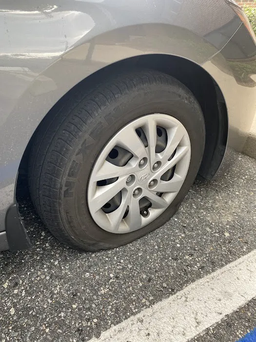 Avis Car Rental Picture 9