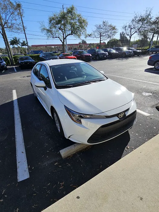 Budget Car Rental Picture 2