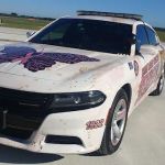 Avis Car Rental