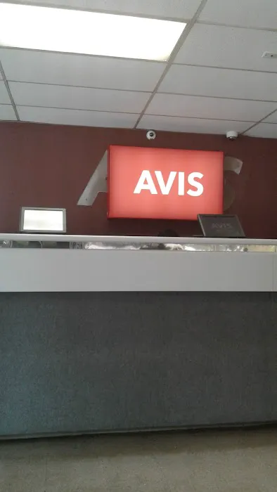 Avis Car Rental Picture 4