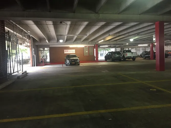 Avis Car Rental Picture 6