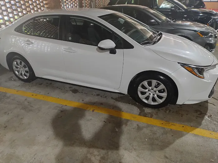 Avis Car Rental Picture 2