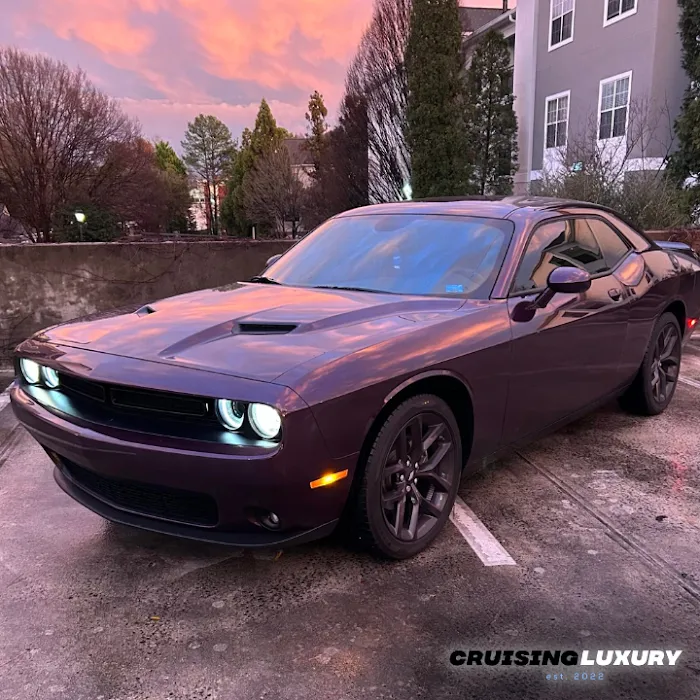 Cruising Luxury Picture 10