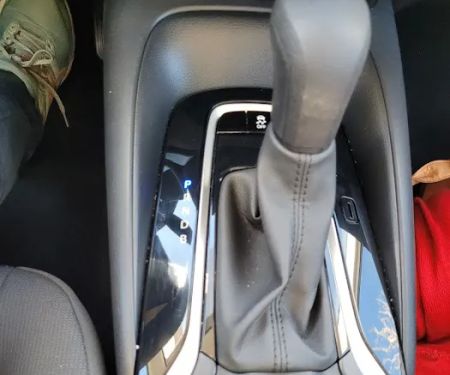 Avis Car Rental