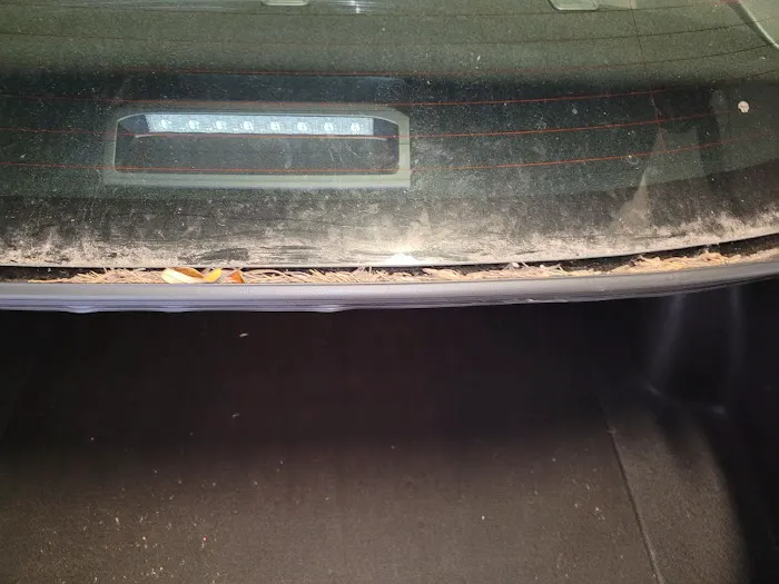 Avis Car Rental Picture 6