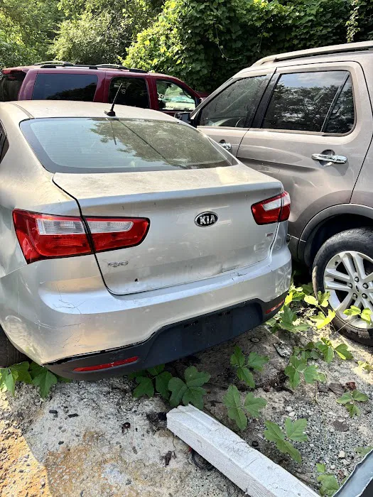 Peepoos Inc, a Trusted Partner for Car Rental Picture 6
